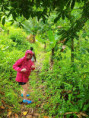 /album/vy-a-my-jamajka-port-antonio/port-antonio-jamajka-vylety-82-jpg/
